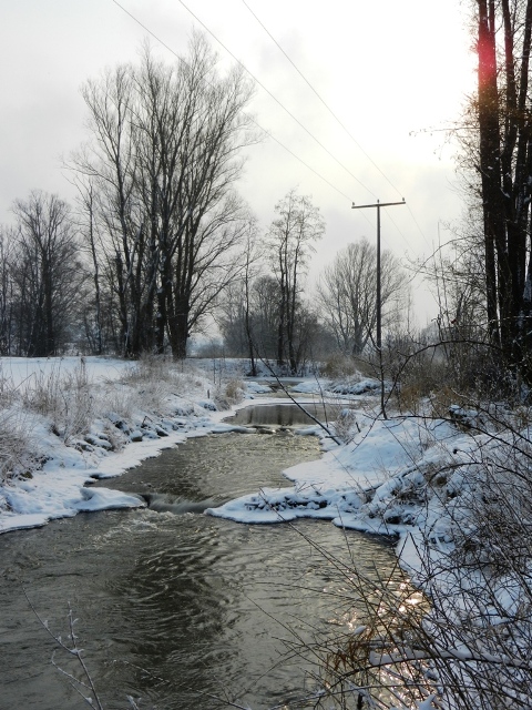 Winterimpressionen an der Ecknach (B300).